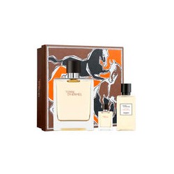 Set Terre D'Hermes de Hermes edt 100 ml para Caballero