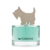 Green For Him de Ferrioni edt 100 ml para Caballero