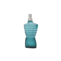 Le Male de Jean Paul Gaultier edt 100 ml para Hombre